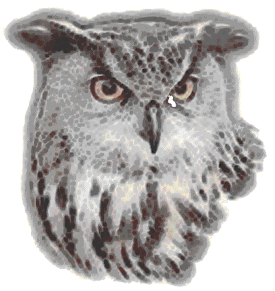 Owl logo